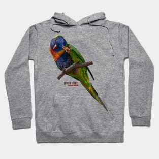 Rainbow Lorikeet_01C Hoodie